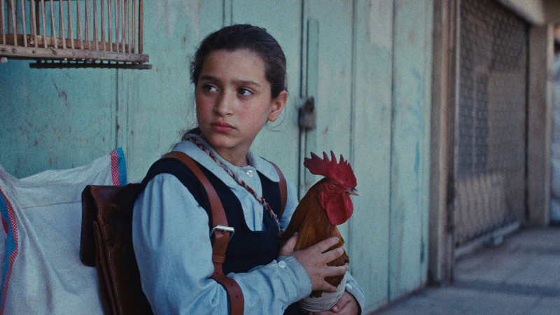 Photo du film Le Gâteau du Président