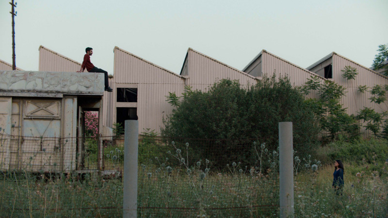 Un monde fragile et merveilleux