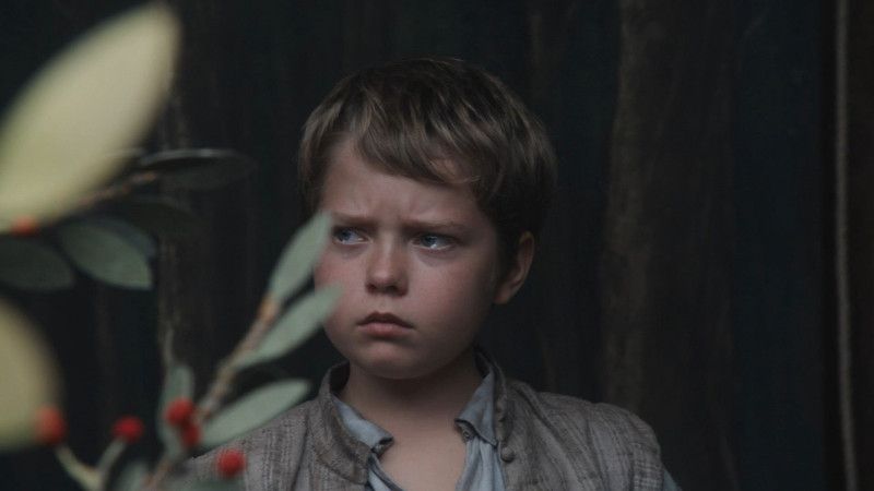 Photo du film Hamnet