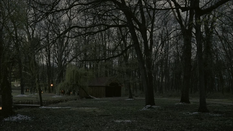 Photo du film The Brutalist