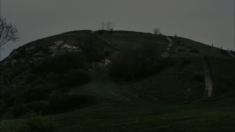 Photo du film The Brutalist