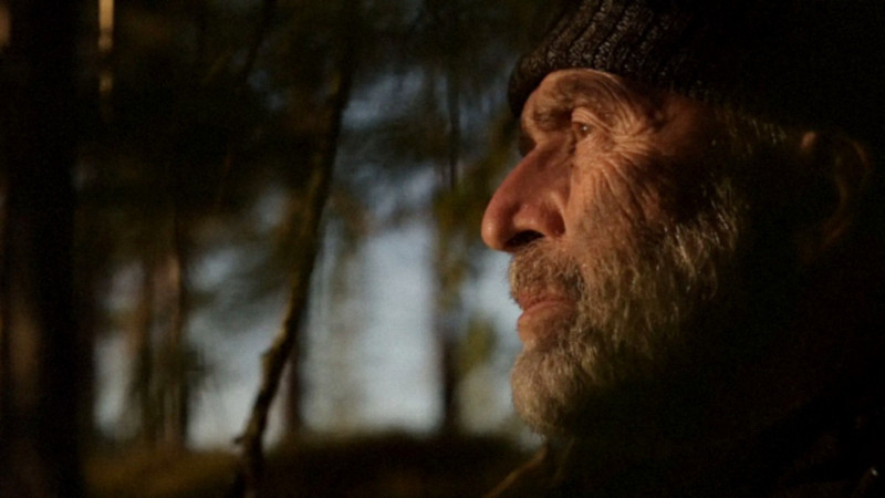 Le Chant des forêts