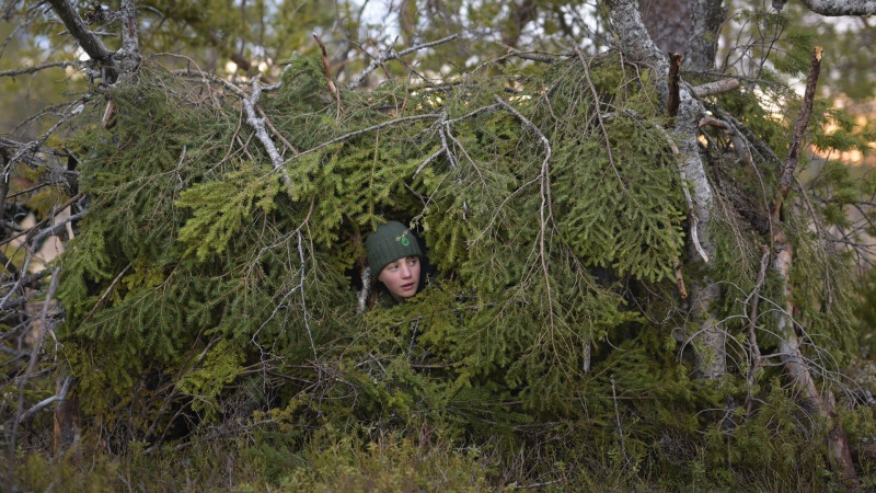 Photo du film Le Chant des forêts