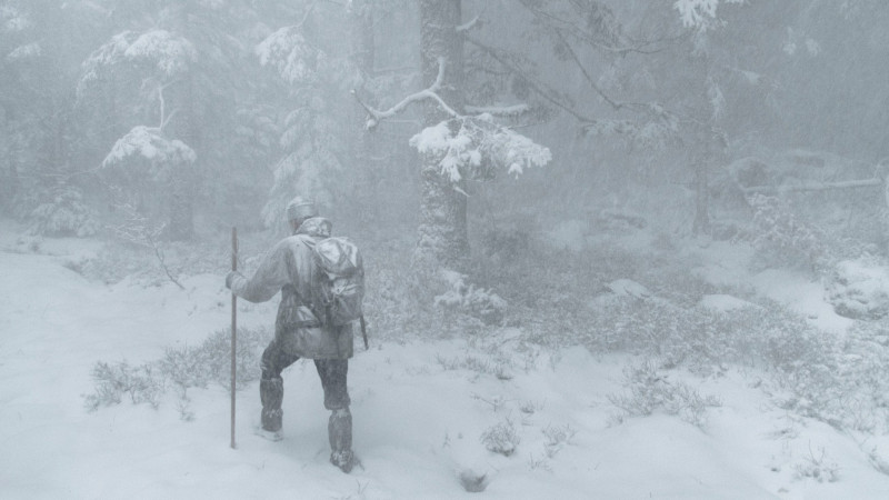 Photo du film Le Chant des forêts
