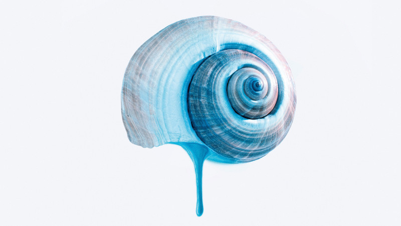 Les Voyages de Tereza