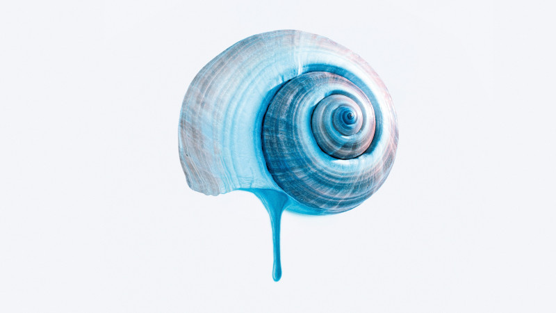 Photo du film Les Voyages de Tereza