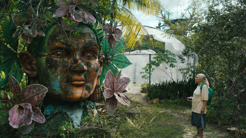 Photo du film Les Voyages de Tereza