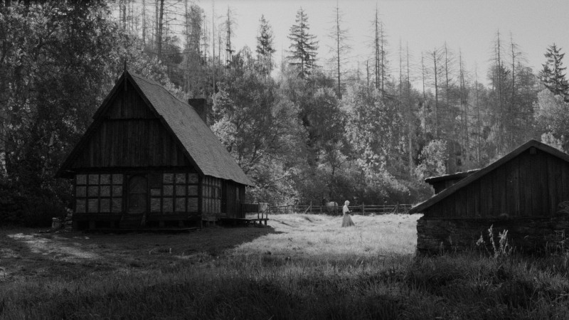 Image du film Rose