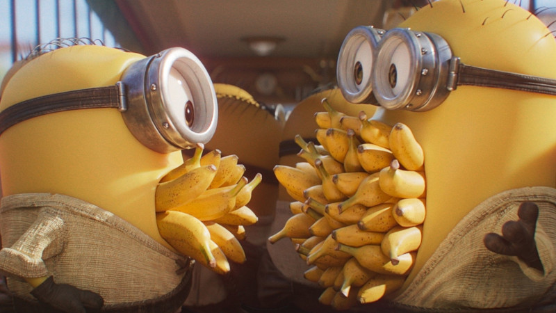 Photo du film Des Minions et des monstres