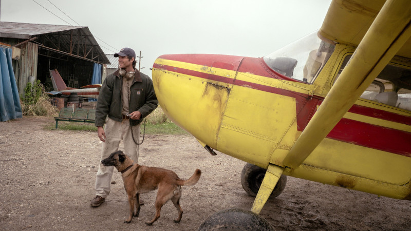 Photo du film The Dog Stars