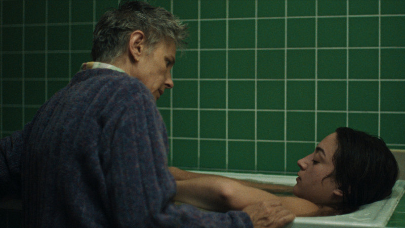 Photo du film La dernière patiente