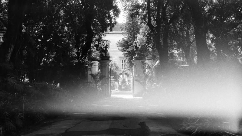 Image du film La Gradiva
