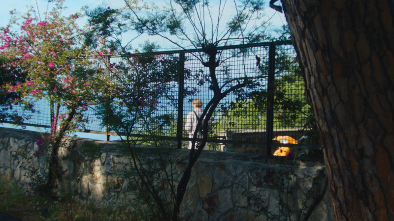Image du film La Gradiva
