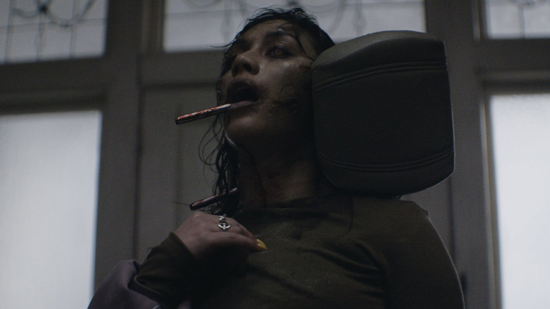 Photo du film Evil Dead Burn