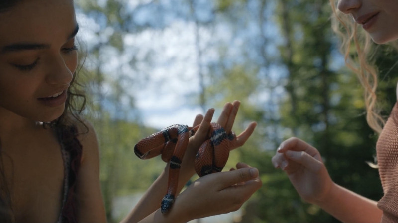 Image du film Hunger Games: la Ballade du serpent et de l'oiseau chanteur