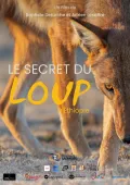 Le Secret du Loup d'&Eacute;thiopie
