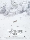 La Panth&egrave;re des neiges