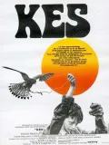 Film - Kes