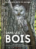 Film - Dans les bois