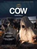 Film - Cow