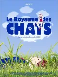 Film - Le Royaume des chats