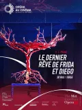 Le Dernier r&ecirc;ve de Frida et Diego (Metropolitan Opera)