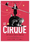 Film - Le Cirque