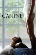 Film - Canine
