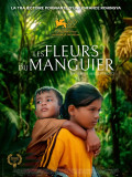 Affiche - Les Fleurs du manguier