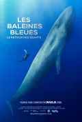 Les baleines bleues : le retour des g&eacute;ants