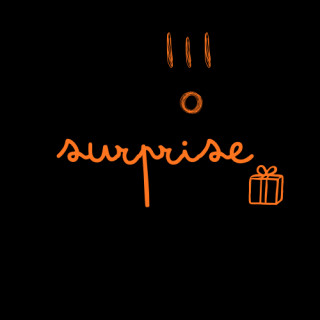 2026 02 COUP DE COEUR SURPRISE AFCAE JEUNE PUBLIC 3