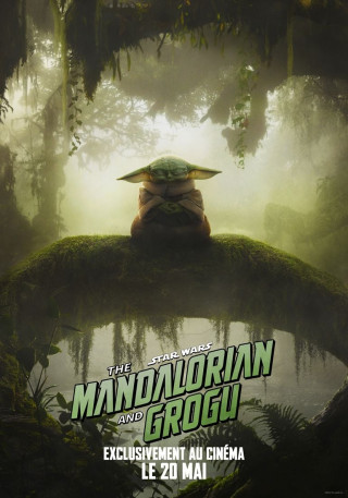 STAR WARS: THE MANDALORIAN AND GROGU