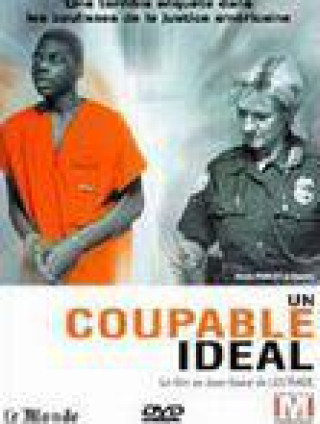 UN COUPABLE IDÉAL