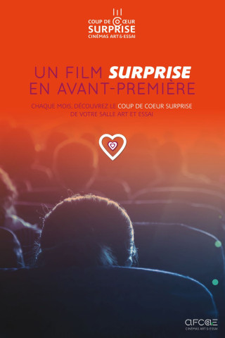 2025 11 COUP DE COEUR SURPRISE AFCAE 3