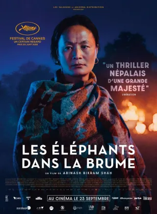 Affiche de Les Éléphants dans la brume, au cinéma L’Arlequin de Nyons.