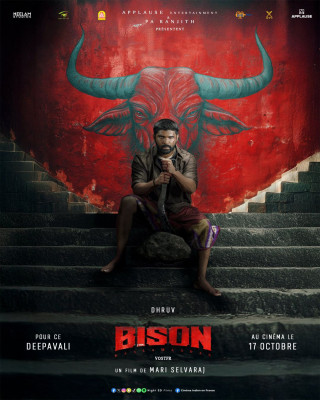 BISON KAALAMAADAN