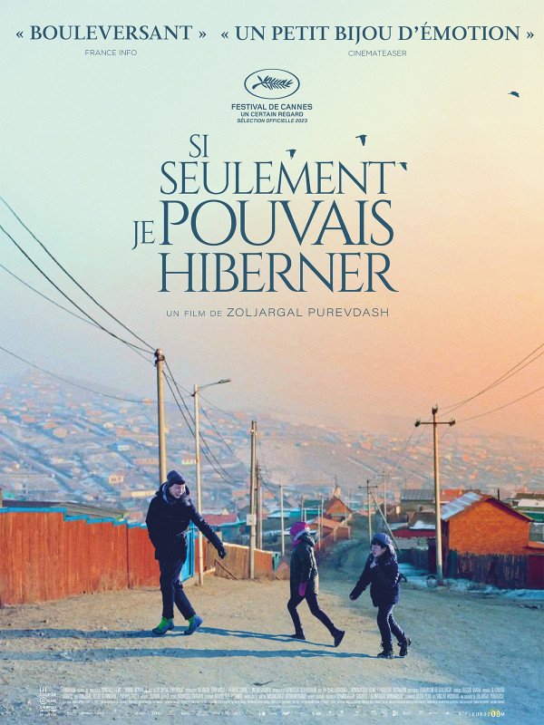 Affiche de Si seulement je pouvais hiberner