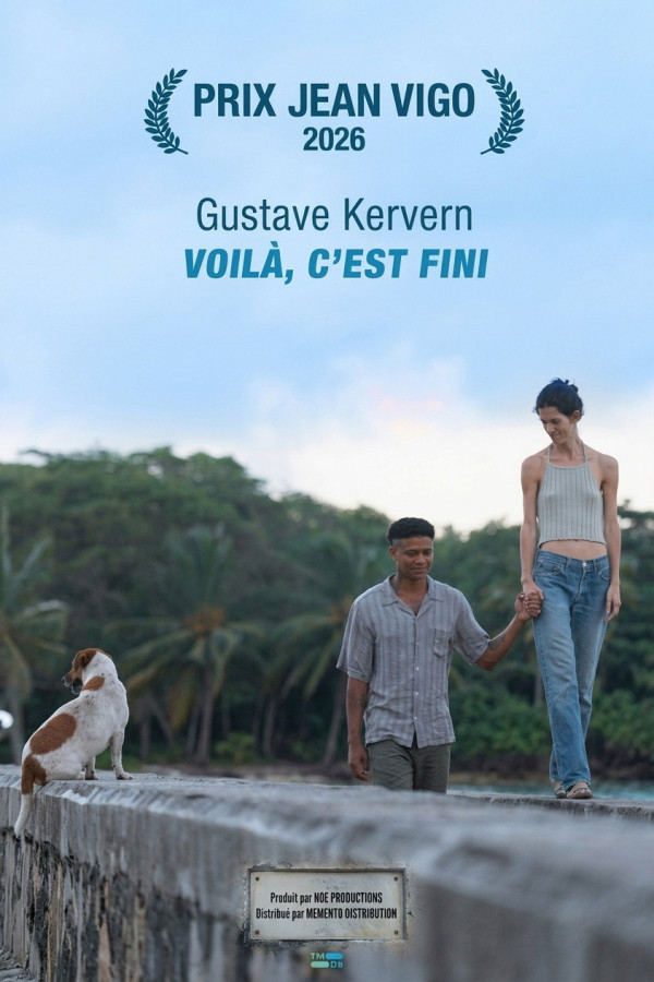 Affiche de Voilà, c'est fini