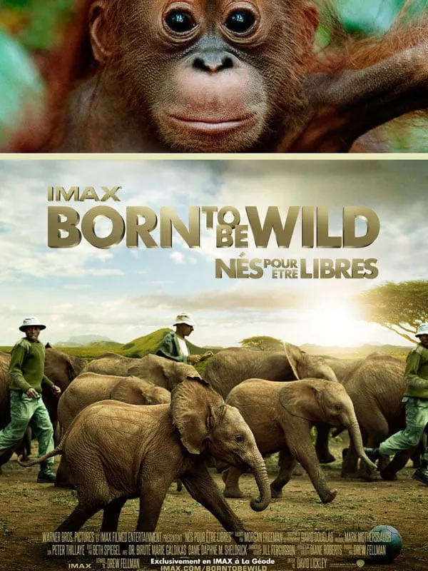 Affiche de Born to be Wild - Nés pour être libres
