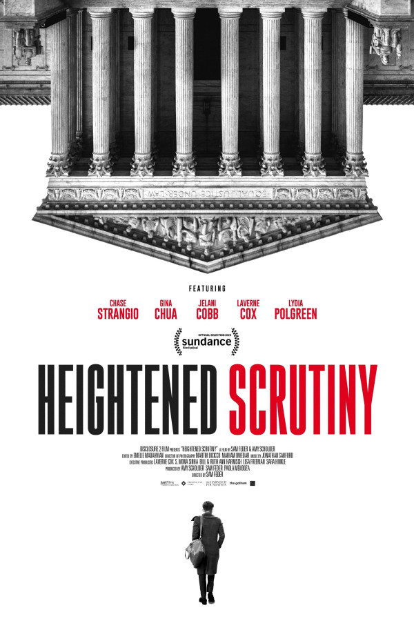 Affiche Heightened Scrutiny