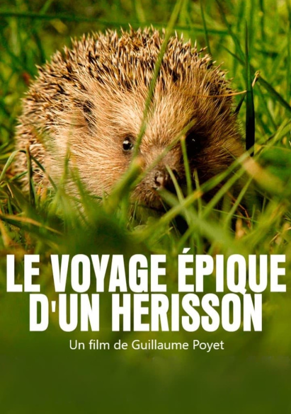 Affiche Le voyage épique d'un hérisson
