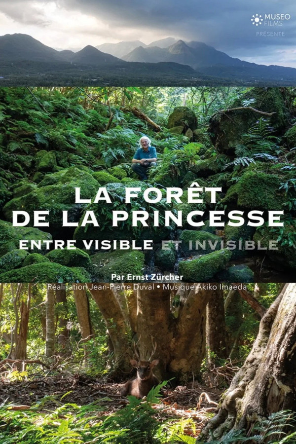 Affiche de La Forêt de la princesse, entre visible et invisible