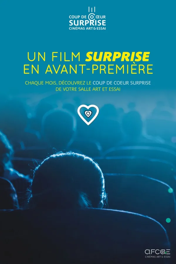 Affiche de 2026 10 COUP DE COEUR SURPRISE AFCAE 1