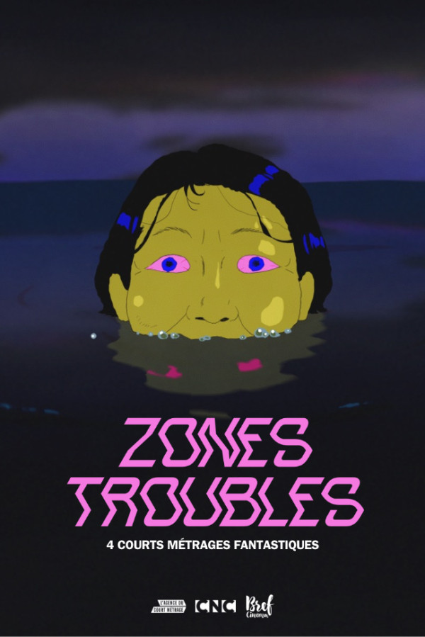 Affiche de Zones Troubles