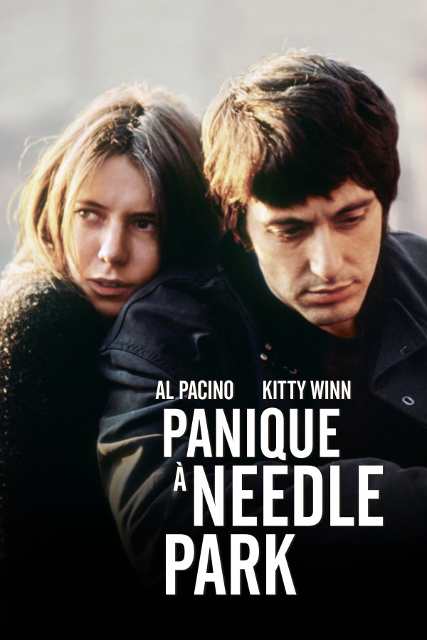Affiche Panique à Needle Park