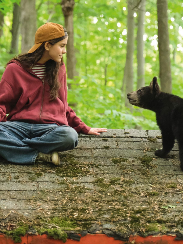 Affiche de Melody pour un ours