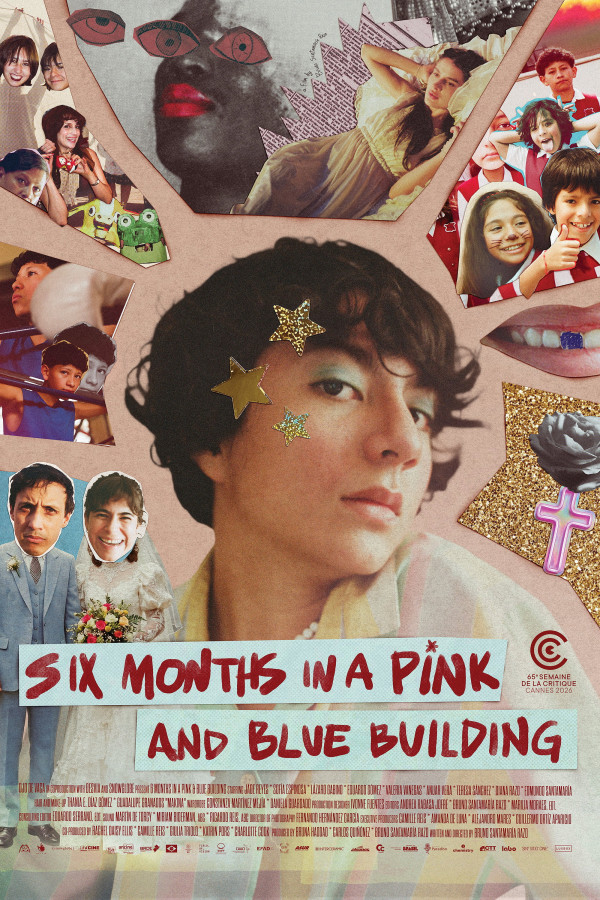 Affiche de Six mois dans la maison rose et bleue