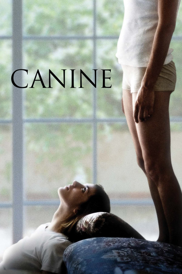 Affiche Canine