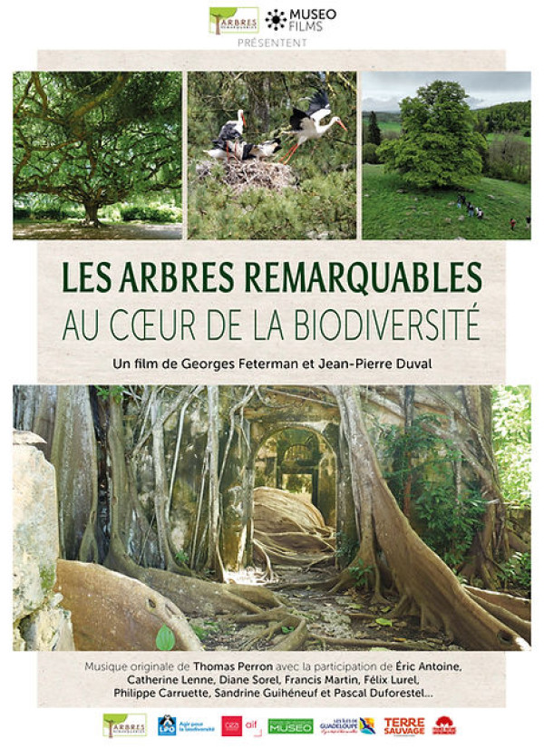 Affiche Les arbres remarquables : au cœur de la biodiversité