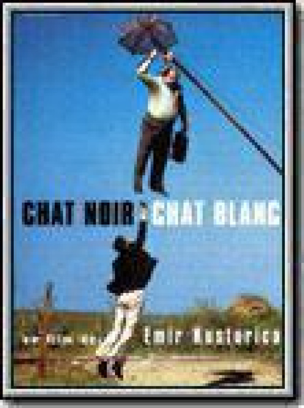 Affiche Chat noir, chat blanc